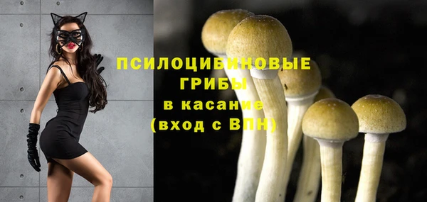 трава Магадан