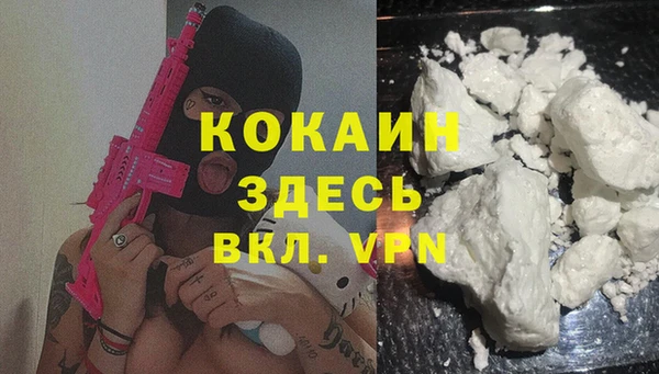 альфа пвп Медвежьегорск