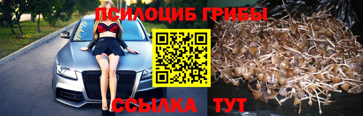 Галлюциногенные грибы Magic Shrooms  Псилоцибиновые грибы Cubensis  Сокол  Вход с VPN 